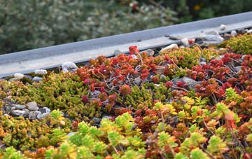 the cost of Mynydd Bach Y Glo green roof installation