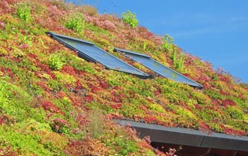 Mynydd Bach Y Glo living roof systems